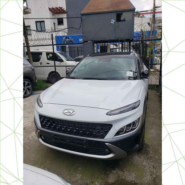 Load image into Gallery viewer, Hyundai Kona
